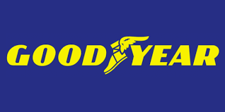 Customer Logo 1