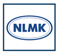 Logo 13